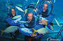 Walk underwater with an Oceanwalker helmet dive