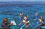 Snorkelling the Great Barrier Reef