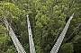 Otway Tree Top Fly