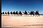 9 Day Perth to Broome  Northwest Adventure Departs Apr - May