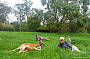 Mount Lofty Descents by Mountain Bike