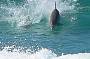 1 Day Moreton Island Extreme Day Tour Ex Brisbane