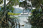 boat through mangroves