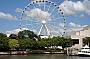 The 'eye' at Southbank