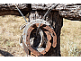 Horseshoes At The Farmstay