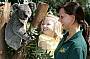 See Sydney and Beyond Attraction Pass - 3 days