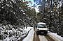 Beautiful Snow - Mt. Field National Park