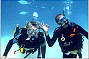 Have Fun Diving