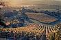 CONVERTIBLE WINE TOUR ( $500 per car )