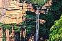 Walking Blue Mountains World Heritage