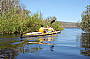 Explore the winding waterways of the Noosa Everglades