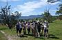 Guided Six Foot Track Walk
