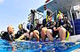 OSPREY V Reef Cruise & Glass Bottom Boat Tour