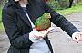 Friendly Birds