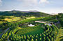 CONVERTIBLE WINE TOUR ( $500 per car )