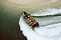 Broadwater Adventure Earlybird Special!