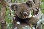 Stradbroke Island - Day in Paradise