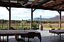 Barbecue lunch on the patio at Mount Broke Wines