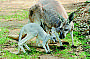 Wine, Water and Wildlife Experience