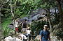 Springbrook Rainforest Tour (From Surfers Paradise)