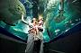 Underwater World