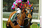 Melbourne Cup Cruise 2nd November 2011