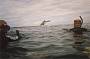 See these amazing animals in their natural environment