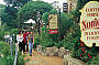 Australia ZOO & Sunshine Coast Hinterland Tour from Brisbane