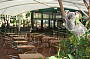 Enjoy a delicous lunch in the koala forest surrounded by koalas