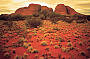 Y13 - Kata Tjuta and Uluru (Ayers Rock) Sunset Tour