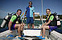 Scuba Dive offshore, optional activity