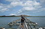Roko Pearl Farm