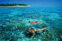 Green Island Reef Cruise - Half Day AM 9am