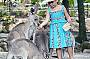 DAINTREE EXPLORER DAY TOUR