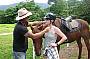 Cape Trib Horse Rides ( Afternoon )