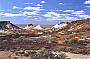 ROCK 2 WATER (6 days Alice Springs to Adelaide)