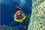 Diving around a big Bombie