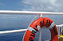 7 Day Cod Hole, Ribbon Reefs & Coral Sea - Ocean View Standard ( Thursday Departure )