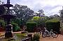 Barossa Sunset & Sparkles Cycle Experience