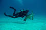 2 Day Dive Trip - MV Kangaroo Explorer (qualified divers only)