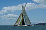 America's Cup Sailing Experience