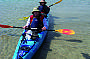 Dolphin Sanctuary Kayaking Tour AM