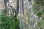 Springbrook Rainforest Tour (From Surfers Paradise)