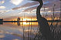 Noosa Everglades River Cruise from Brisbane