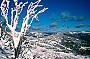 Mt Buller 