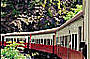 Cairns in a Day - Kuranda Combo