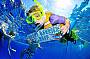 Osprey V Cruise + 1 Dive Package