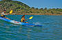 Surf Kayaking