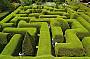 Ashcombe Maze & lavender Gardens