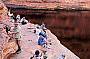 Kings Canyon